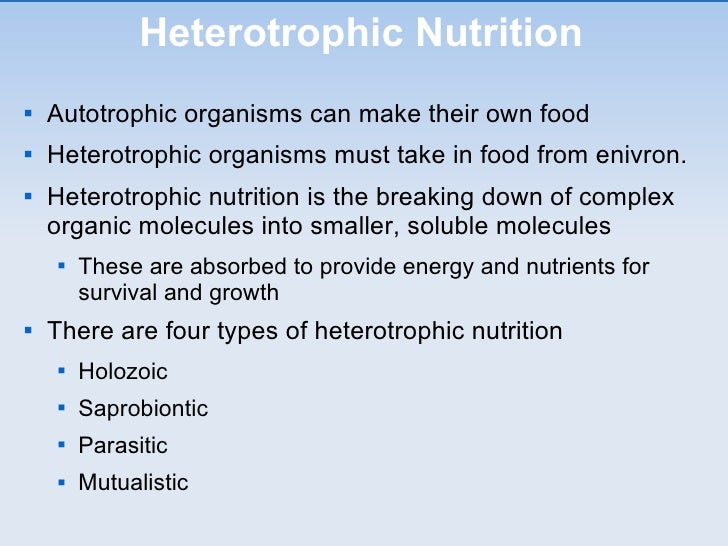 Chapter 13 Heterotrophic Nutrition 1210745399273844 9