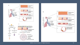 Immunity Pdf Immunity and Immune System | Innate & Adaptive Immunity | Antibodies ...