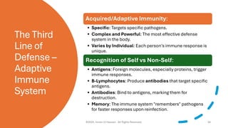 Immunity and Immune System | Innate & Adaptive Immunity | Antibodies ...