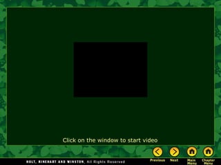 Click on the window to start video
 