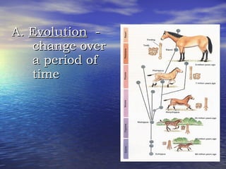 A.  Evolution   - change over a period of time 
