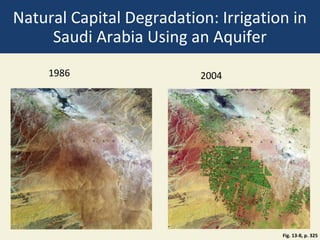 Natural Capital Degradation: Irrigation in
     Saudi Arabia Using an Aquifer
     1986                 2004




                                      Fig. 13-8, p. 325
 
