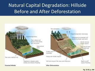 Natural Capital Degradation: Hillside
  Before and After Deforestation




                                   Fig. 13-25, p. 340
 
