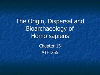 The Origin, Dispersal and
   Bioarchaeology of
     Homo sapiens
        Chapter 13
         ATH 255
 