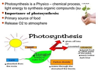 Photosynthesis is a Physico – chemical process, uses
light energy to synthesis organic compounds (sugar).
Importance of photosynthesis:
Primary source of food
Release O2 to atmosphere
 