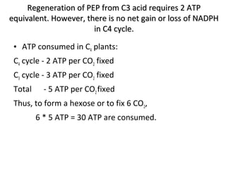 Regeneration of PEP from C3 acid requires 2 ATPRegeneration of PEP from C3 acid requires 2 ATP
equivalent. However, there is no net gain or loss of NADPHequivalent. However, there is no net gain or loss of NADPH
in C4 cycle.in C4 cycle.
• ATP consumed in C4 plants:
C4 cycle - 2 ATP per CO2 fixed
C3 cycle - 3 ATP per CO2 fixed
Total - 5 ATP per CO2fixed
Thus, to form a hexose or to fix 6 CO2,
6 * 5 ATP = 30 ATP are consumed.
 