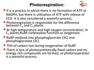 PhotorespirationPhotorespiration::
It is a process in which there is no formation of ATP or
NADPH, but there is utilization of ATP with release of
CO2. It is also considered a wasteful process.
Photorespiration is responsible for the difference
between C3 and C4 plants.
At high temperature and high oxygen concentration, In
C3 plants,RuBP carboxylase function as oxygenase.
RuBP oxidized into phosphoglycerate (3C) and
phosphoglycolate (2C)
75% of carbon lost during oxygenation of RuBP
There is loss of photosynthetically fixed carbon and no
energy rich compounds are formed, so photorespiration
is a wasteful process.
 