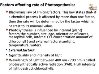 Factors affecting rate of PhotosynthesisFactors affecting rate of Photosynthesis::
Blackmans law of limiting factors. This law states that- if
a chemical process is affected by more than one factor,
then the rate will be determined by the factor which is
nearest to its minimal value.
Photosynthesis is influenced by internal (plant)
factors(the number, size, age, orientation of leaves,
mesophyll cells, internal CO2 concentration amount of
chlorophyll ) and external factors(sunlight,
temperature, water).
• External factors:
• Light:Quality and intensity of light
Wavelength of light between 400 nm - 700 nm is called
photosynthetically active radiation (PAR). High intensity
of light destruct chlorophylls.
 