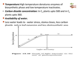 Temperature:High temperature denatures enzymes of
biosynthetic phase and low temperature inactivates.
• Carbon dioxide concentration: In C3 plants upto 500 and in C4
plants upto 360.
Availability of water.
Less water leads to - water stress, stoma closes, less carbon
dioxide, reduce leaf expansion and less photosynthetic area.
 