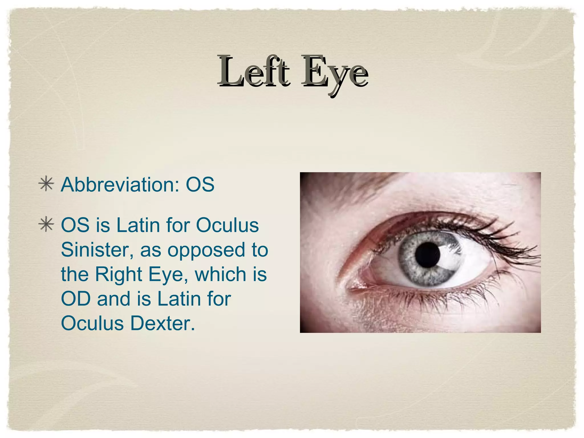 Chapter 13 Presentation | PPT