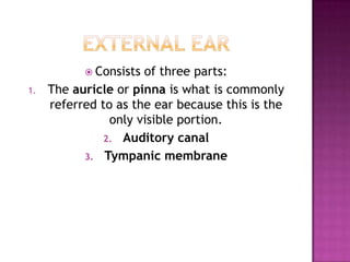 EXTERNAL EARConsists of three parts:The auricle or pinna is what is commonly referred to as the ear because this is the only visible portion.Auditory canalTympanic membrane