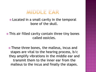 Middle earLocated in a small cavity in the temporal bone of the skull.This air filled cavity contain three tiny bones called ossicles.These three bones, the malleus, incus and stapes are vital to the hearing process, b/c they amplify vibrations in the middle ear and transmit them to the inner ear from the malleus to the incus and finally the stapes.