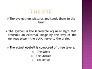 The eyeThe eye gathers pictures and sends them to the brain.The eyeball is the incredible organ of sight that transmit an external image by the way of the nervous system-the optic nerve to the brain.The actual eyeball is composed of three layers:The ScleraThe ChoroidThe Retina
