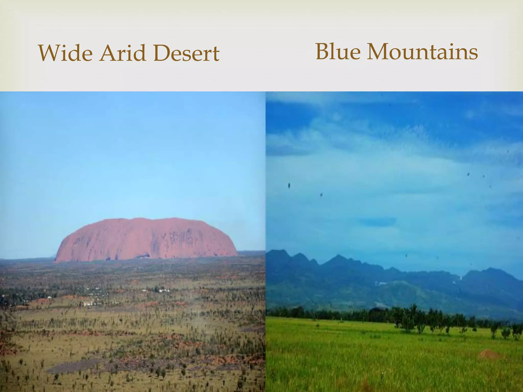 
Wide Arid Desert Blue Mountains
 
