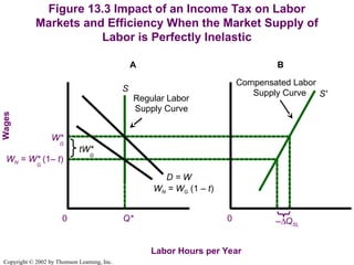The Theory of Income Taxation Detail Analysis | PPT