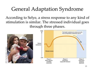 General Adaptation Syndrome According to Selye, a stress response to any kind of stimulation is similar. The stressed individual goes through three phases. EPA/ Yuri Kochetkov/ Landov 