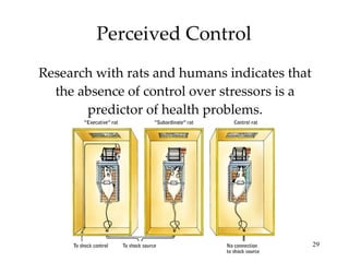 Perceived Control Research with rats and humans indicates that the absence of control over stressors is a predictor of health problems. 
