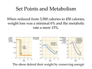 Set Points and Metabolism When reduced from 3,500 calories to 450 calories, weight loss was a minimal 6% and the metabolic rate a mere 15%. The obese defend their weight by conserving energy. 