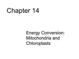 Chapter 14


     • Energy Conversion:
       Mitochondria and
       Chloroplasts
 