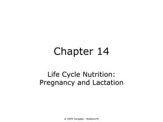 Chapter 14

  Life Cycle Nutrition:
Pregnancy and Lactation




      © 2009 Cengage - Wadsworth
 