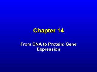 Chapter 14

From DNA to Protein: Gene
      Expression
 