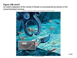 Bio 100 Chapter 14 | PPT