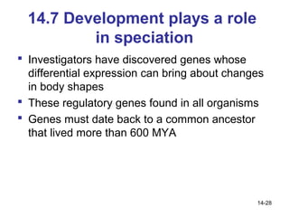 Bio 100 Chapter 14 | PPT
