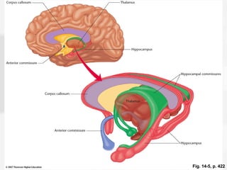 Fig. 14-5, p. 422 