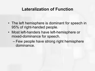 Lateralization of Function The left hemisphere is dominant for speech in 95% of right-handed people. Most left-handers have left-hemisphere or mixed-dominance for speech. Few people have strong right hemisphere dominance. 