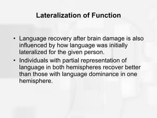 Lateralization of Function Language recovery after brain damage is also influenced by how language was initially lateralized for the given person. Individuals with partial representation of language in both hemispheres recover better than those with language dominance in one hemisphere. 