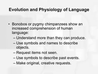Evolution and Physiology of Language Bonobos or pygmy chimpanzees show an increased comprehension of human language: Understand more than they can produce. Use symbols and names to describe objects. Request items not seen. Use symbols to describe past events. Make original, creative requests. 