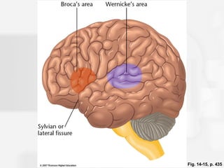 Fig. 14-15, p. 435 