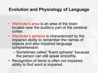 Evolution and Physiology of Language Wernicke’s area  is an area of the brain located near the auditory part of the cerebral cortex. Wernicke’s aphasia  is characterized by the impaired ability to remember the names of objects and also impaired language comprehension. Sometimes called “fluent aphasia” because the person can still speak smoothly. Recognition of items is often not impaired; ability to find word is impaired. 
