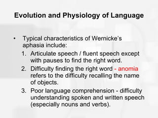 Evolution and Physiology of Language Typical characteristics of Wernicke’s aphasia include: Articulate speech / fluent speech except with pauses to find the right word. Difficulty finding the right word  - anomia  refers to the difficulty recalling the name of objects. Poor language comprehension - difficulty understanding spoken and written speech (especially nouns and verbs). 