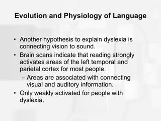 Evolution and Physiology of Language Another hypothesis to explain dyslexia is connecting vision to sound. Brain scans indicate that reading strongly activates areas of the left temporal and parietal cortex for most people. Areas are associated with connecting visual and auditory information. Only weakly activated for people with dyslexia. 