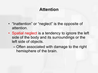 Attention “Inattention” or “neglect” is the opposite of attention. Spatial neglect  is a tendency to ignore the left side of the body and its surroundings or the left side of objects. Often associated with damage to the right hemisphere of the brain. 