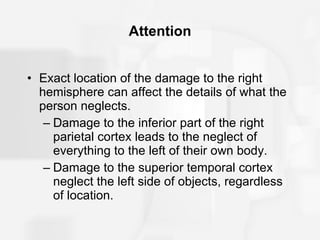 Attention Exact location of the damage to the right hemisphere can affect the details of what the person neglects. Damage to the inferior part of the right parietal cortex leads to the neglect of everything to the left of their own body. Damage to the superior temporal cortex neglect the left side of objects, regardless of location. 