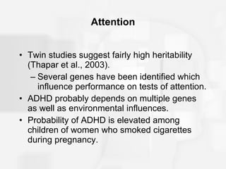 Attention Twin studies suggest fairly high heritability (Thapar et al., 2003). Several genes have been identified which influence performance on tests of attention. ADHD probably depends on multiple genes as well as environmental influences. Probability of ADHD is elevated among children of women who smoked cigarettes during pregnancy. 