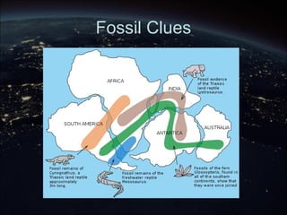 Fossil Clues
 
