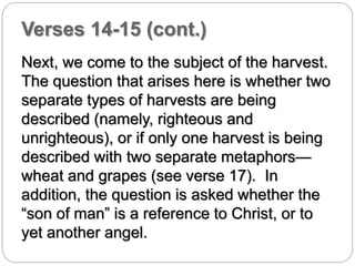 Verses 14-15 (cont.) 
Next, we come to the subject of the harvest. 
The question that arises here is whether two 
separate types of harvests are being 
described (namely, righteous and 
unrighteous), or if only one harvest is being 
described with two separate metaphors— 
wheat and grapes (see verse 17). In 
addition, the question is asked whether the 
“son of man” is a reference to Christ, or to 
yet another angel. 
 