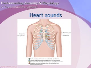 UUnnddeerrssttaannddiinngg AAnnaattoommyy && PPhhyyssiioollooggyy 
AA VViissuuaall,, IInntteerraaccttiivvee AApppprrooaacchh 
Copyright © 2012 F.A. Davis Company 
HHeeaarrtt ssoouunnddss 
 