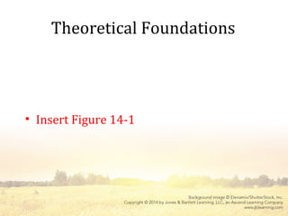 Theoretical Foundations
• Insert Figure 14-1
 
