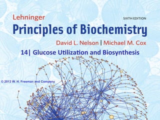 14|	
  Glucose	
  U-liza-on	
  and	
  Biosynthesis	
  
© 2013 W. H. Freeman and Company
 