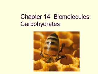 Chapter 14. Biomolecules:
Carbohydrates
 