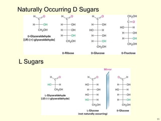 11
Naturally Occurring D Sugars
L Sugars
 