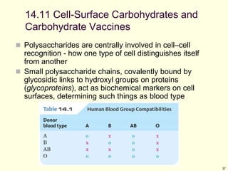 37
14.11 Cell-Surface Carbohydrates and
Carbohydrate Vaccines
 Polysaccharides are centrally involved in cell–cell
recognition - how one type of cell distinguishes itself
from another
 Small polysaccharide chains, covalently bound by
glycosidic links to hydroxyl groups on proteins
(glycoproteins), act as biochemical markers on cell
surfaces, determining such things as blood type
 