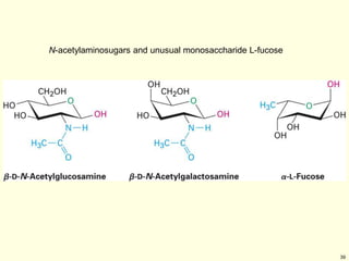 39
N-acetylaminosugars and unusual monosaccharide L-fucose
 