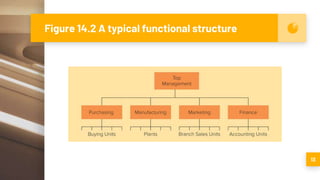 Figure 14.2 A typical functional structure
13
 