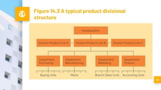 Figure 14.3 A typical product divisional
structure
14
 