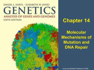 Chapter 14
Molecular
Mechanisms of
Mutation and
DNA Repair
Jones and Bartlett Publishers © 2005
 
